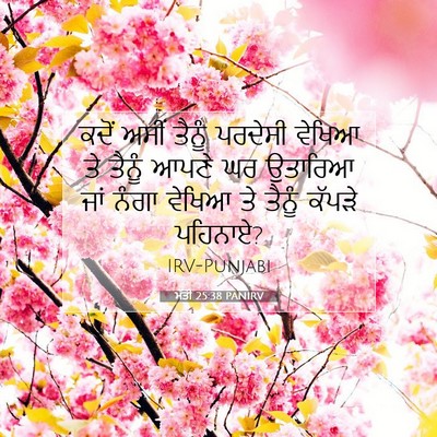 Picture 07 - ਮੱਤੀ 25:38 PANIRV - ਕਦੋਂ ਅਸੀਂ ਤੈਨੂੰ - Bible Verse Picture