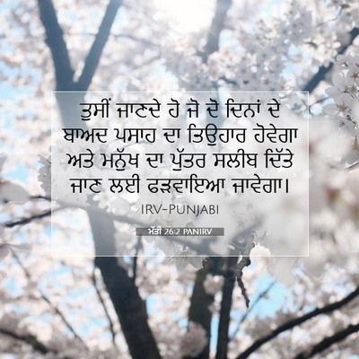 Picture 07 - ਮੱਤੀ 26:2 PANIRV - ਤੁਸੀਂ ਜਾਣਦੇ ਹੋ ਜੋ - Bible Verse Picture