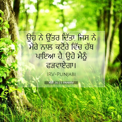 Picture 07 - ਮੱਤੀ 26:23 PANIRV - ਉਹ ਨੇ ਉੱਤਰ ਦਿੱਤਾ, - Bible Verse Picture