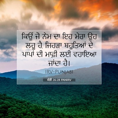 Picture 07 - ਮੱਤੀ 26:28 PANIRV - ਕਿਉਂ ਜੋ ਨੇਮ ਦਾ ਇਹ - Bible Verse Picture