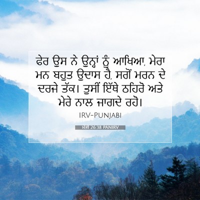 Picture 07 - ਮੱਤੀ 26:38 PANIRV - ਫੇਰ ਉਸ ਨੇ ਉਨ੍ਹਾਂ - Bible Verse Picture