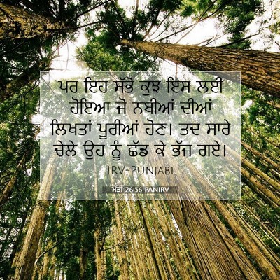 Picture 07 - ਮੱਤੀ 26:56 PANIRV - ਪਰ ਇਹ ਸੱਭੋ ਕੁਝ ਇਸ - Bible Verse Picture