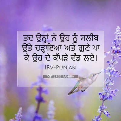 Picture 07 - ਮੱਤੀ 27:35 PANIRV - ਤਦ ਉਨ੍ਹਾਂ ਨੇ ਉਹ ਨੂੰ - Bible Verse Picture