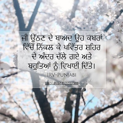 Picture 07 - ਮੱਤੀ 27:53 PANIRV - ਜੀ ਉੱਠਣ ਦੇ ਬਾਅਦ ਉਹ - Bible Verse Picture
