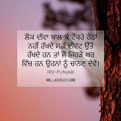 Picture 07 - ਮੱਤੀ 5:15 PANIRV - ਲੋਕ ਦੀਵਾ ਬਾਲ ਕੇ - Bible Verse Picture