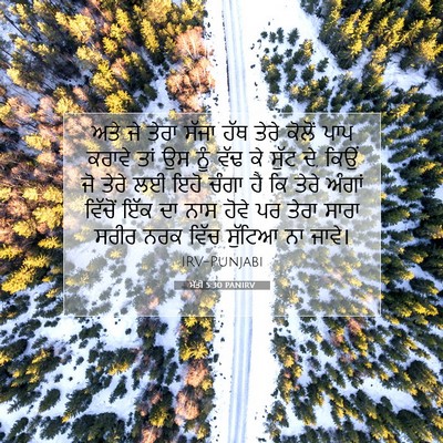 Picture 07 - ਮੱਤੀ 5:30 PANIRV - ਅਤੇ ਜੇ ਤੇਰਾ ਸੱਜਾ - Bible Verse Picture