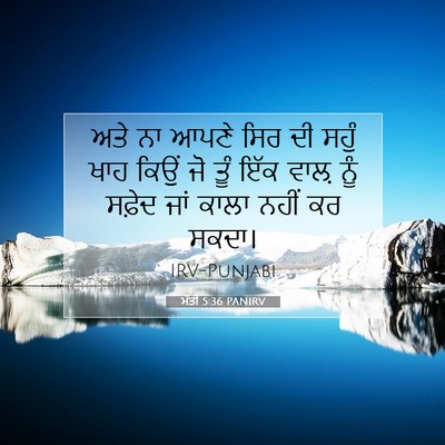 Picture 07 - ਮੱਤੀ 5:36 PANIRV - ਅਤੇ ਨਾ ਆਪਣੇ ਸਿਰ ਦੀ - Bible Verse Picture