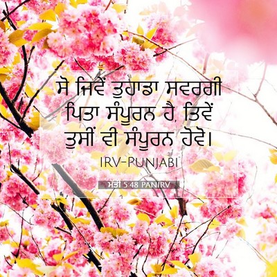 Picture 07 - ਮੱਤੀ 5:48 PANIRV - ਸੋ ਜਿਵੇਂ ਤੁਹਾਡਾ - Bible Verse Picture