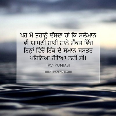 Picture 07 - ਮੱਤੀ 6:29 PANIRV - ਪਰ ਮੈਂ ਤੁਹਾਨੂੰ - Bible Verse Picture