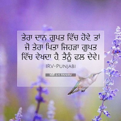 Picture 07 - ਮੱਤੀ 6:4 PANIRV - ਤੇਰਾ ਦਾਨ ਗੁਪਤ ਵਿੱਚ - Bible Verse Picture