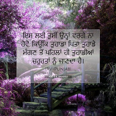 Picture 07 - ਮੱਤੀ 6:8 PANIRV - ਇਸ ਲਈ ਤੁਸੀਂ ਉਨ੍ਹਾਂ - Bible Verse Picture