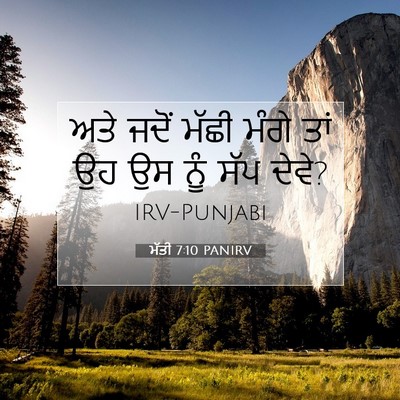 Picture 07 - ਮੱਤੀ 7:10 PANIRV - ਅਤੇ ਜਦੋਂ ਮੱਛੀ ਮੰਗੇ - Bible Verse Picture