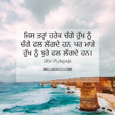 Picture 07 - ਮੱਤੀ 7:17 PANIRV - ਜਿਸ ਤਰ੍ਹਾਂ ਹਰੇਕ - Bible Verse Picture