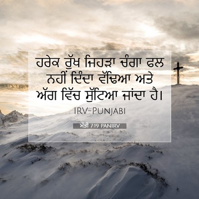 Picture 07 - ਮੱਤੀ 7:19 PANIRV - ਹਰੇਕ ਰੁੱਖ ਜਿਹੜਾ - Bible Verse Picture