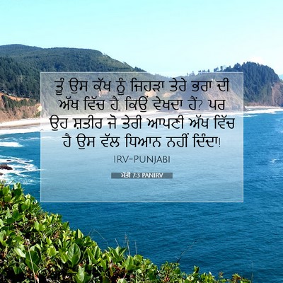 Picture 07 - ਮੱਤੀ 7:3 PANIRV - ਤੂੰ ਉਸ ਕੱਖ ਨੂੰ - Bible Verse Picture