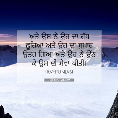 Picture 07 - ਮੱਤੀ 8:15 PANIRV - ਅਤੇ ਉਸ ਨੇ ਉਹ ਦਾ ਹੱਥ - Bible Verse Picture