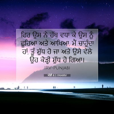 Picture 07 - ਮੱਤੀ 8:3 PANIRV - ਫਿਰ ਉਸ ਨੇ ਹੱਥ ਵਧਾ - Bible Verse Picture
