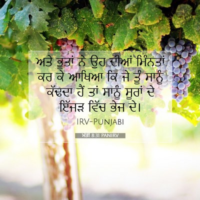 Picture 07 - ਮੱਤੀ 8:31 PANIRV - ਅਤੇ ਭੂਤਾਂ ਨੇ ਉਹ - Bible Verse Picture