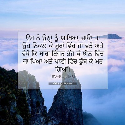 Picture 07 - ਮੱਤੀ 8:32 PANIRV - ਉਸ ਨੇ ਉਨ੍ਹਾਂ ਨੂੰ - Bible Verse Picture