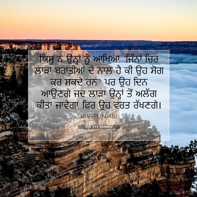 Picture 07 - ਮੱਤੀ 9:15 PANIRV - ਯਿਸੂ ਨੇ ਉਨ੍ਹਾਂ ਨੂੰ - Bible Verse Picture