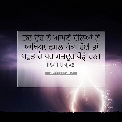 Picture 07 - ਮੱਤੀ 9:37 PANIRV - ਤਦ ਉਹ ਨੇ ਆਪਣੇ - Bible Verse Picture