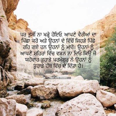 Picture 07 - ਯਸ਼ਵਾ 10:19 PANIRV - ਪਰ ਤੁਸੀਂ ਨਾ ਖੜ੍ਹੇ - Bible Verse Picture