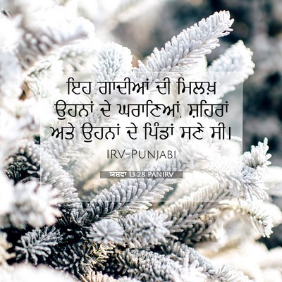 Picture 07 - ਯਸ਼ਵਾ 13:28 PANIRV - ਇਹ ਗਾਦੀਆਂ ਦੀ ਮਿਲਖ਼ - Bible Verse Picture