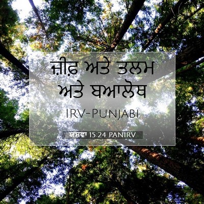 Picture 07 - ਯਸ਼ਵਾ 15:24 PANIRV - ਜ਼ੀਫ਼ ਅਤੇ ਤਲਮ ਅਤੇ - Bible Verse Picture