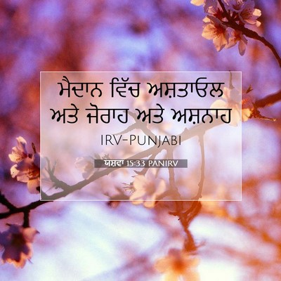 Picture 07 - ਯਸ਼ਵਾ 15:33 PANIRV - ਮੈਦਾਨ ਵਿੱਚ - Bible Verse Picture