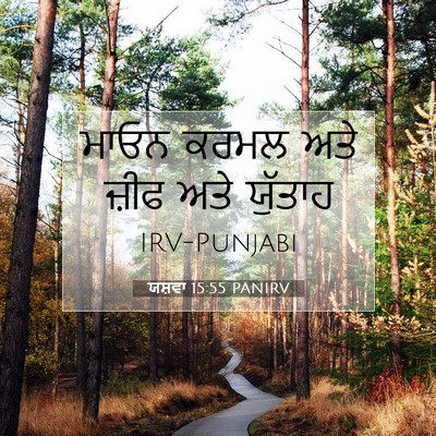 Picture 07 - ਯਸ਼ਵਾ 15:55 PANIRV - ਮਾਓਨ ਕਰਮਲ ਅਤੇ ਜ਼ੀਫ - Bible Verse Picture