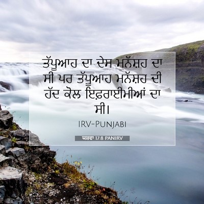 Picture 07 - ਯਸ਼ਵਾ 17:8 PANIRV - ਤੱਪੂਆਹ ਦਾ ਦੇਸ - Bible Verse Picture