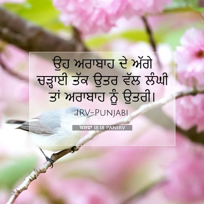 Picture 07 - ਯਸ਼ਵਾ 18:18 PANIRV - ਉਹ ਅਰਾਬਾਹ ਦੇ ਅੱਗੇ - Bible Verse Picture