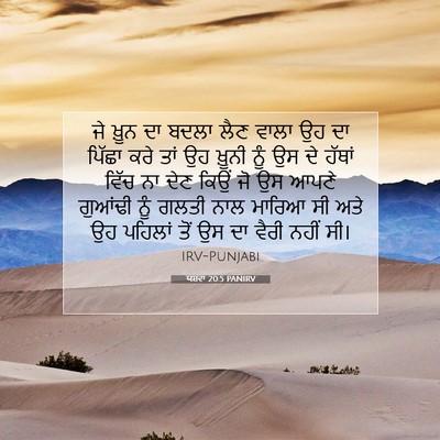 Picture 07 - ਯਸ਼ਵਾ 20:5 PANIRV - ਜੇ ਖ਼ੂਨ ਦਾ ਬਦਲਾ ਲੈਣ - Bible Verse Picture