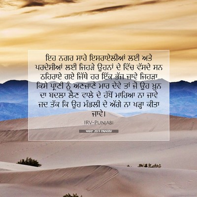 Picture 07 - ਯਸ਼ਵਾ 20:9 PANIRV - ਇਹ ਨਗਰ ਸਾਰੇ - Bible Verse Picture
