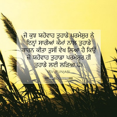 Picture 07 - ਯਸ਼ਵਾ 23:3 PANIRV - ਜੋ ਕੁਝ ਯਹੋਵਾਹ - Bible Verse Picture