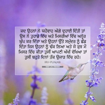 Picture 07 - ਯਸ਼ਵਾ 24:7 PANIRV - ਜਦ ਉਹਨਾਂ ਨੇ ਯਹੋਵਾਹ - Bible Verse Picture
