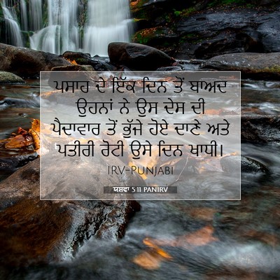 Picture 07 - ਯਸ਼ਵਾ 5:11 PANIRV - ਪਸਾਹ ਦੇ ਇੱਕ ਦਿਨ ਤੋਂ - Bible Verse Picture