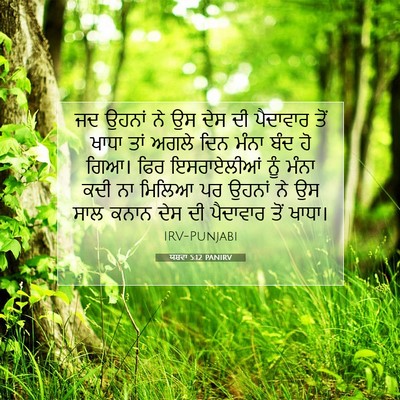 Picture 07 - ਯਸ਼ਵਾ 5:12 PANIRV - ਜਦ ਉਹਨਾਂ ਨੇ ਉਸ ਦੇਸ - Bible Verse Picture