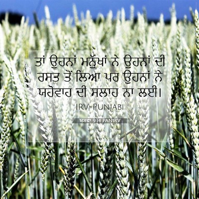 Picture 07 - ਯਸ਼ਵਾ 9:14 PANIRV - ਤਾਂ ਉਹਨਾਂ ਮਨੁੱਖਾਂ - Bible Verse Picture