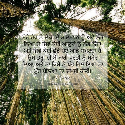 Picture 07 - ਯਸਾਯਾਹ 10:14 PANIRV - ਮੇਰੇ ਹੱਥ ਨੇ ਲੋਕਾਂ - Bible Verse Picture