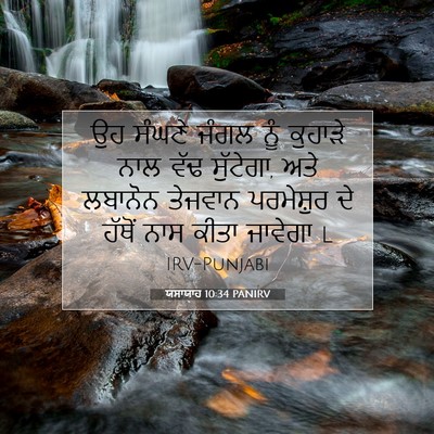 Picture 07 - ਯਸਾਯਾਹ 10:34 PANIRV - ਉਹ ਸੰਘਣੇ ਜੰਗਲ ਨੂੰ - Bible Verse Picture
