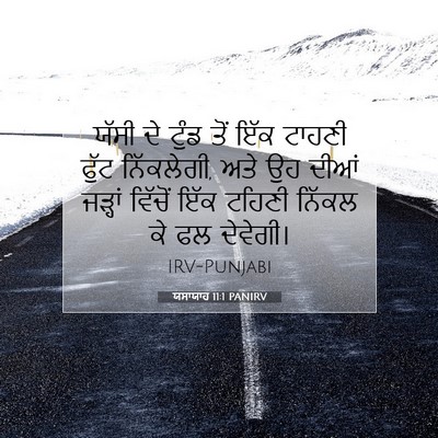 Picture 07 - ਯਸਾਯਾਹ 11:1 PANIRV - ਯੱਸੀ ਦੇ ਟੁੰਡ ਤੋਂ - Bible Verse Picture