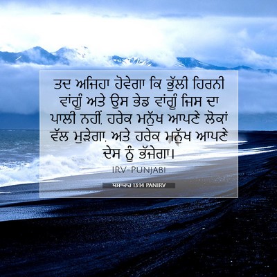 Picture 07 - ਯਸਾਯਾਹ 13:14 PANIRV - ਤਦ ਅਜਿਹਾ ਹੋਵੇਗਾ ਕਿ - Bible Verse Picture