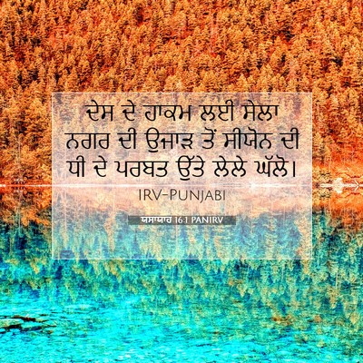 Picture 07 - ਯਸਾਯਾਹ 16:1 PANIRV - ਦੇਸ ਦੇ ਹਾਕਮ ਲਈ ਸੇਲਾ - Bible Verse Picture