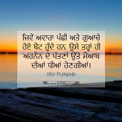 Picture 07 - ਯਸਾਯਾਹ 16:2 PANIRV - ਜਿਵੇਂ ਅਵਾਰਾ ਪੰਛੀ - Bible Verse Picture