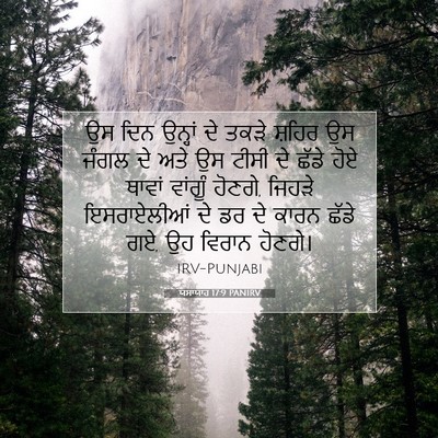 Picture 07 - ਯਸਾਯਾਹ 17:9 PANIRV - ਉਸ ਦਿਨ ਉਨ੍ਹਾਂ ਦੇ - Bible Verse Picture