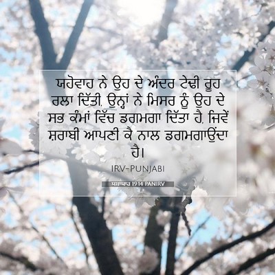 Picture 07 - ਯਸਾਯਾਹ 19:14 PANIRV - ਯਹੋਵਾਹ ਨੇ ਉਹ ਦੇ - Bible Verse Picture