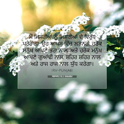 Picture 07 - ਯਸਾਯਾਹ 19:2 PANIRV - ਮੈਂ ਮਿਸਰੀਆਂ ਨੂੰ - Bible Verse Picture