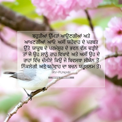 Picture 07 - ਯਸਾਯਾਹ 2:3 PANIRV - ਬਹੁਤੀਆਂ ਉੱਮਤਾਂ - Bible Verse Picture