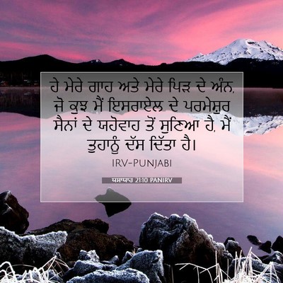 Picture 07 - ਯਸਾਯਾਹ 21:10 PANIRV - ਹੇ ਮੇਰੇ ਗਾਹ ਅਤੇ - Bible Verse Picture